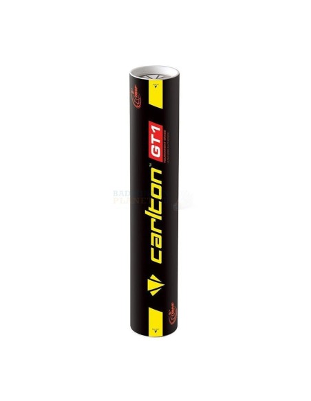 BADMINTON FLYERS CARLTON GT1 (1pc)