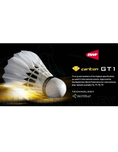 BADMINTONO SKRAJUKĖS CARLTON GT1 (1vnt)