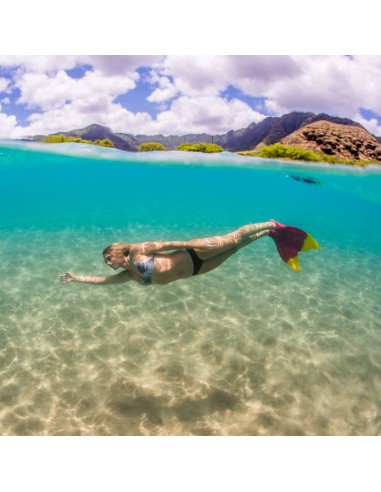 Plaukmenys FINIS LUNA MONOFIN (28-35d)