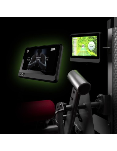 Seated calf trainer BH Fitness L210