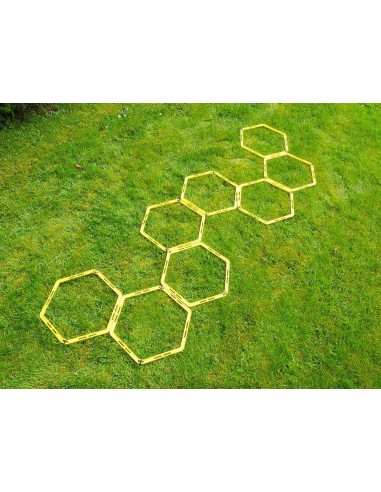 Aštuonkampės vikrumo kopetėlės RPM Power