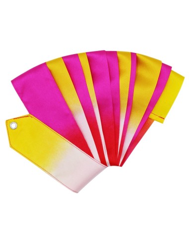 Įvairiaspalvis kaspinas PASTORELLI  5m