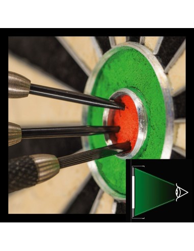 Taikinio apšvietimas Winmau Plasma
