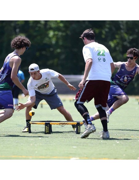 Žaidimas Spikeball Pro