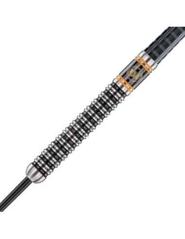 Winmau strėlytės "Danny Noppert"