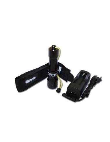 Prožektorius Gibielle  Pollicina GA003