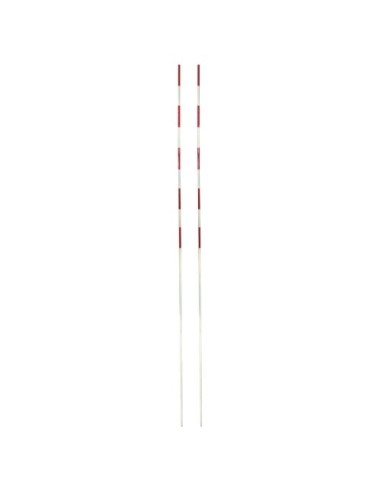 Mesh network antennas (pair) Pokorny-Site
