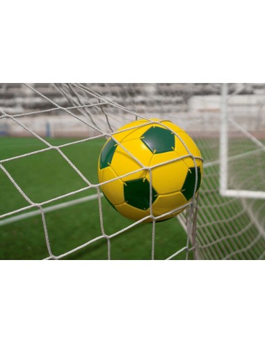 Standartinis futbolo vartų tinklas 7.5x2.5x1x2m (5mm)