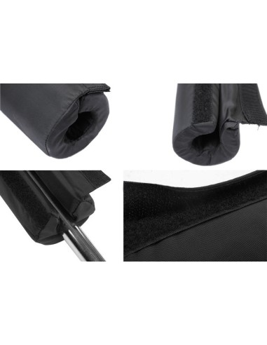 Paminkštinimas grifui