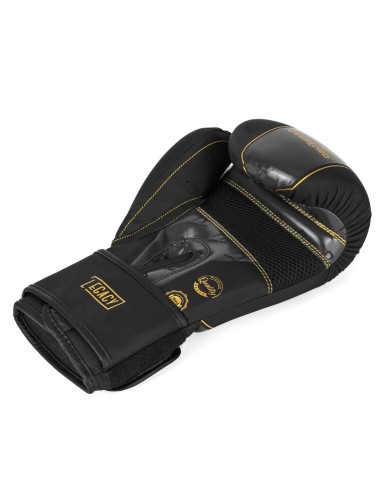 Boxing gloves Overlord "LEGACY"