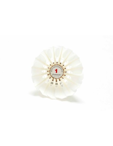 Plunksniniai badmintono skraidukai KAWASAKI "TEAM 1" (77)