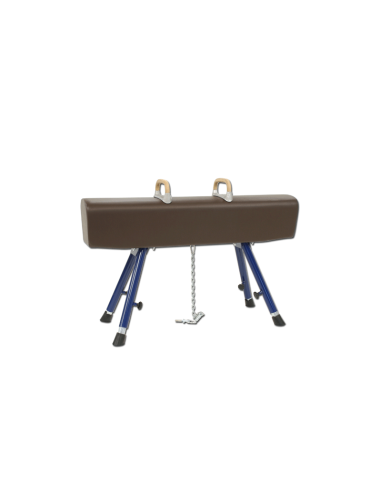 Gymnastics horse with handles Sportsystem