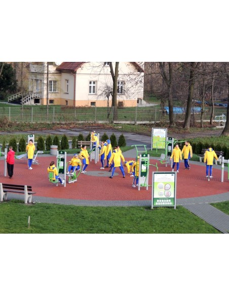Outdoor exercise equipment - Overhead lift + Seated press, outdoor gym