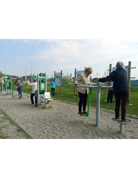 Outdoor exercise equipment - Stepper + Pendulum - outdoor gym