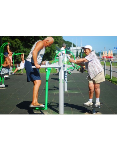 Outdoor exercise equipment - Stepper + Pendulum - outdoor gym