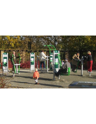 Outdoor exercise equipment - Double skier - outdoor gym