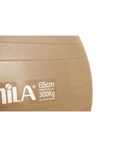 Mankštos kamuolys AMILA "GYM BALL" (65cm)