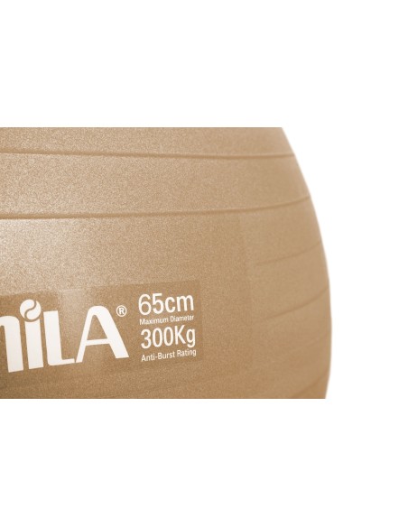 Mankštos kamuolys AMILA "GYM BALL" (65cm)