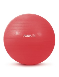 Mankštos kamuolys AMILA "GYM BALL" (65cm) 2