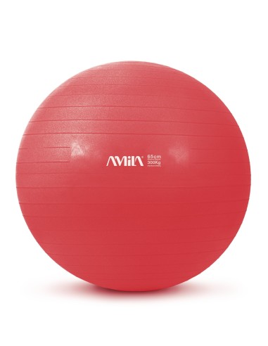 Exercise ball AMILA "GYM BALL" (65cm)