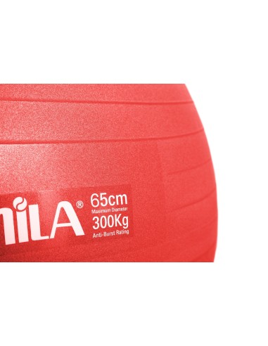 Exercise ball AMILA "GYM BALL" (65cm)