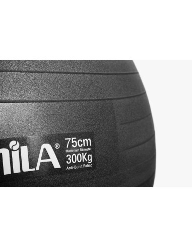 Mankštos kamuolys AMILA "GYM BALL" (75cm)