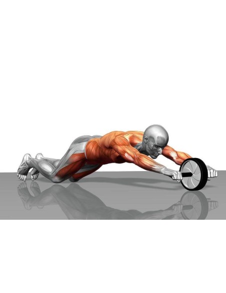 Abdominal wheel AMILA