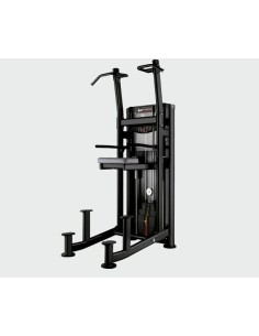 Arm trainer - pull-ups - L450B