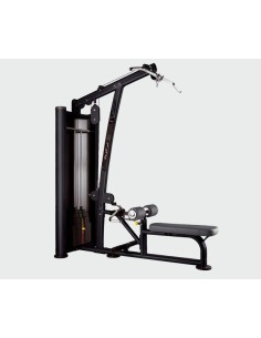 Arm trainer - pull-up and rowing - L550B