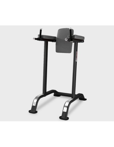 Jėgos treniruoklis - pilvo preso - L805BB