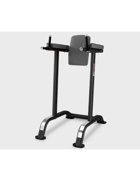 Jėgos treniruoklis - pilvo preso - L805BB