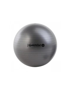 PHYSIO BALL Maxafe 95 cm gray