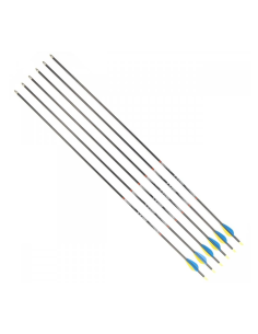 Штанги CARBON TYRO 30/700 6 шт.