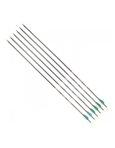 Strėlės CARBON TYRO 30/700 6vnt