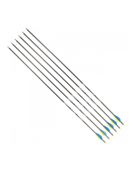 Strėlės CARBON TYRO 30/700 6vnt