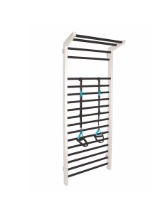 Amaya suspension trainer 2
