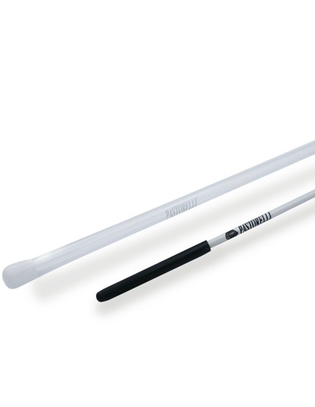 Ribbon stick with case PASTORELLI (59.50cm) FIG