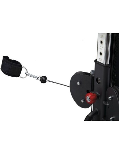 BODYCRAFT "CPS" free-thrust trainer