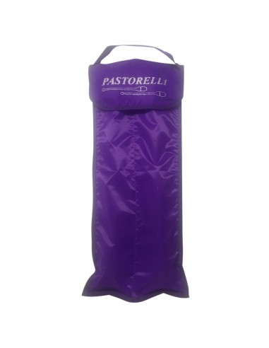 Rhythmic gymnastics club case PASTORELLI