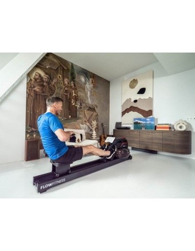 Flow Fitness Driver DWR2500i