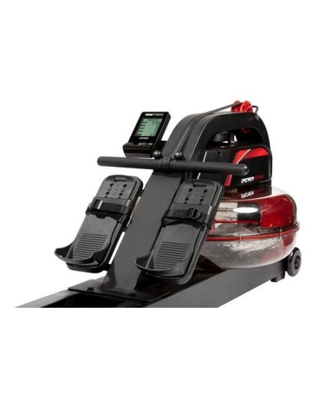 Flow Fitness Driver DWR2500i
