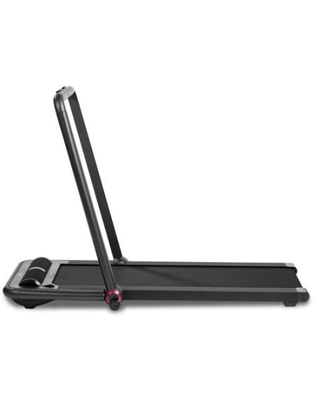 Skrejceliņš Flow Fitness Runner DTM200i