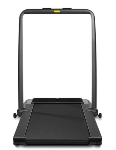 Беговая дорожка Flow Fitness Runner DTM200i
