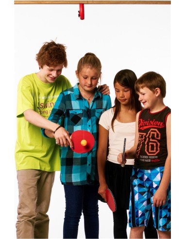 Swing-Ping-Pong treniruoklis