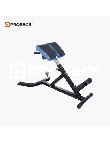 Suolas nugarai PROESCE "  LKC-904 Roman Chair"
