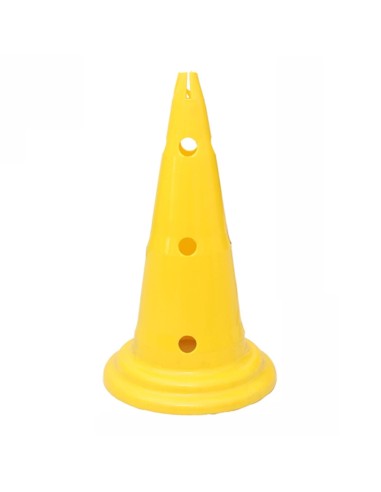 Treniruočių kūgiai PROESCE (30-38-50cm)