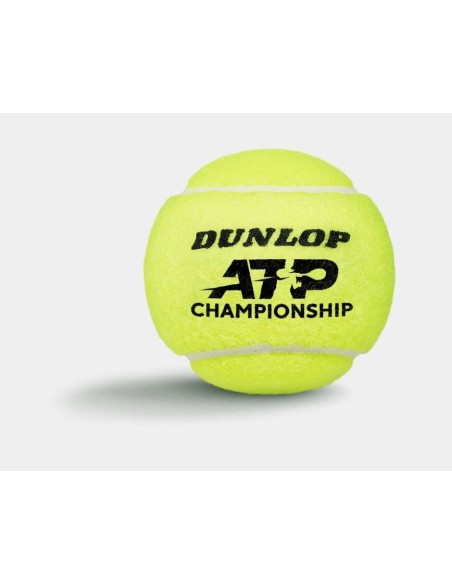 Теннисные мячи для игры на открытом воздухе DUNLOP ATP CHAMPIONSHIP (4 шт.)