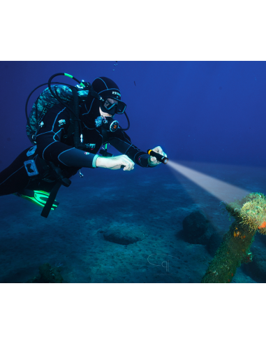 Šviestuvas OrcaTorch  "D700" (1700 Lumen)