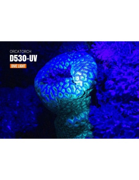 Šviestuvas OrcaTorch  "D530-UV"