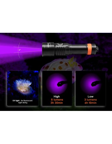 Šviestuvas OrcaTorch  "D530-UV"